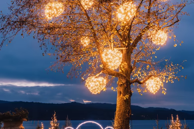 Seefels Advent de luxe