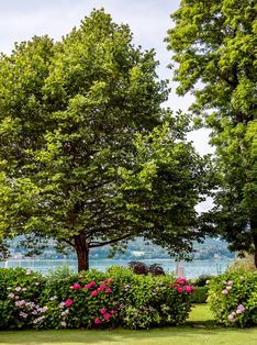 prachtvoller privater Schlossgarten am Wörthersee 