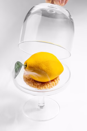 Seefels Früchtchen