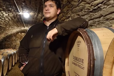 Domaine Noellat