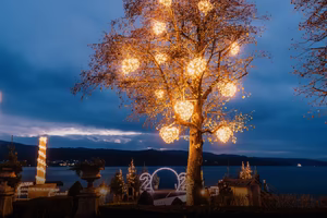 Schloss Seefels Kärntner Herzerlbaum 
