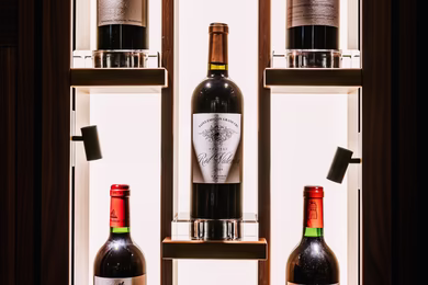 300 spots on the Seefels wine cellar