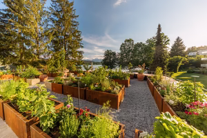 frische Kräuter und Bluten aus dem eigenen Garten