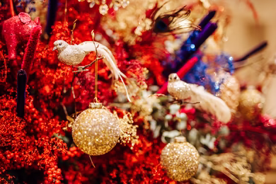 Magnificent Christmas in an elegant ambiance