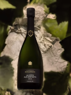 Champagne Bollinger La Côte aux Enfants